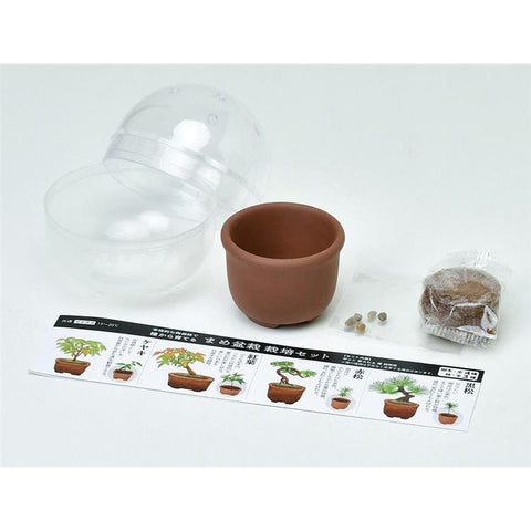 Cultivation / Blind Box Mini Bonsai Collection