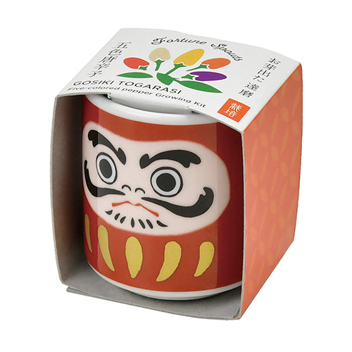 Cultivation / Ochoko with Sprouts Set - Five-colored pepper
