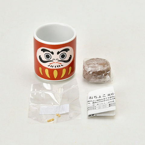 Cultivation / Ochoko with Sprouts Set - Five-colored pepper