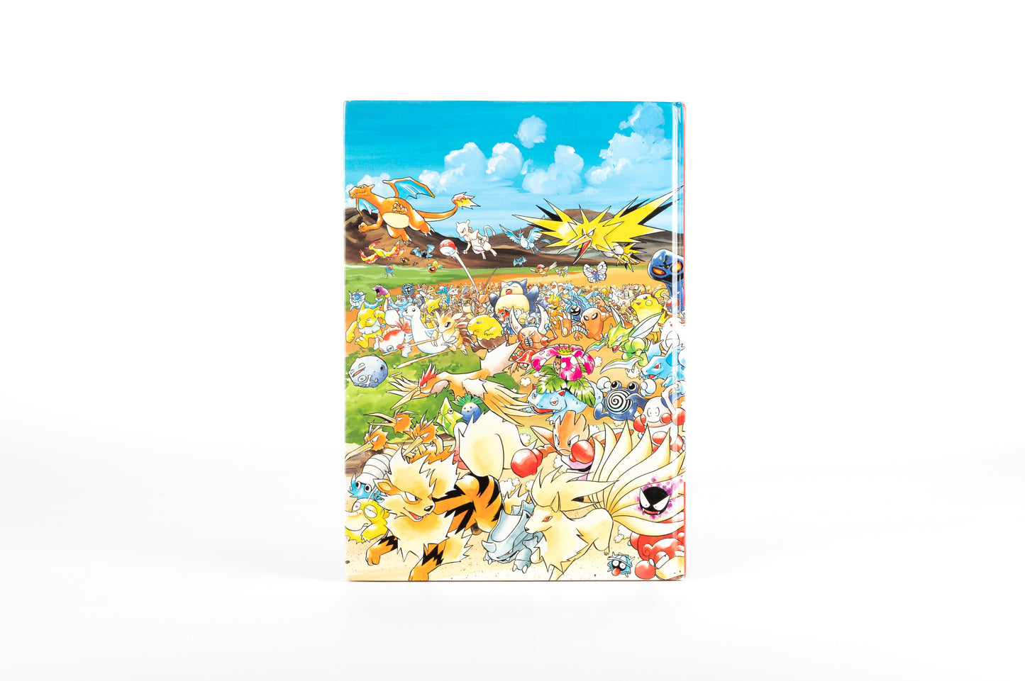 Pokémon / Illustration Book – Let’s Find Pokemon!