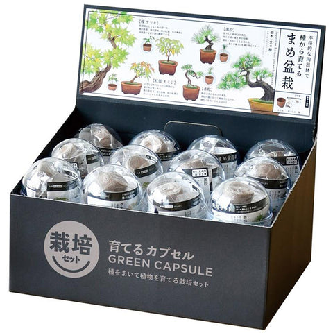 Cultivation / Blind Box Mini Bonsai Collection
