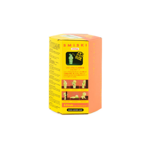 SMISKI Blind Box - Living Series Glow-in-The-Dark Packaging Box Back