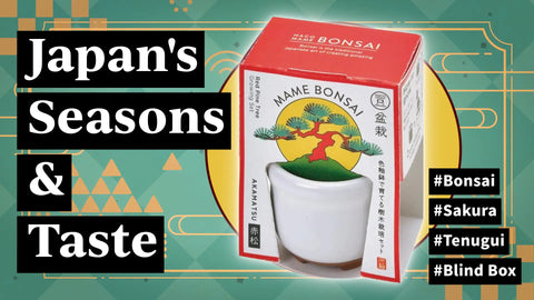 Japan's Seasons & Taste - Bonsai, Sakura, Tenugui, Blind Box