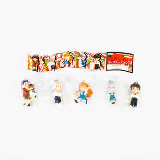 Neon Genesis Evangelion / Collector's Swing Keychain - Complete 5-Piece Set
