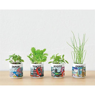 Cultivation / Ochoko with Sprouts Set - Japanese Basil