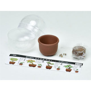 Cultivation / Blind Box Mini Bonsai Collection