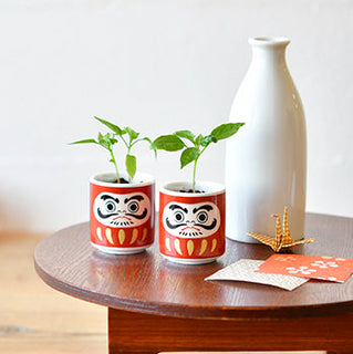 Cultivation / Ochoko with Sprouts Set - Five-colored pepper