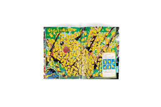 Pokémon / Illustration Book - Let's Find Pokemon! Vol.2