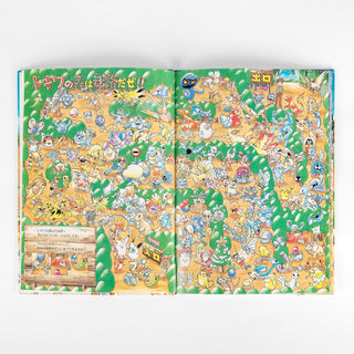 Pokémon / Illustration Book - Let's Find Pokemon!