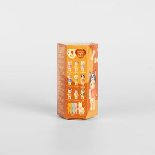 Sonny Angel Blind Box - Dog Time Series Packaging Box Back