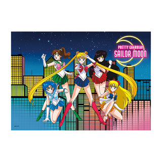 SailorMoonStoreOriginal8thAnniversaryFabricPoster