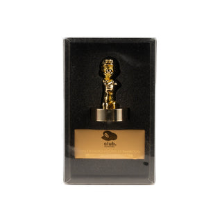 Super Mario Bros / Gold Mario Figure - Club Nintendo