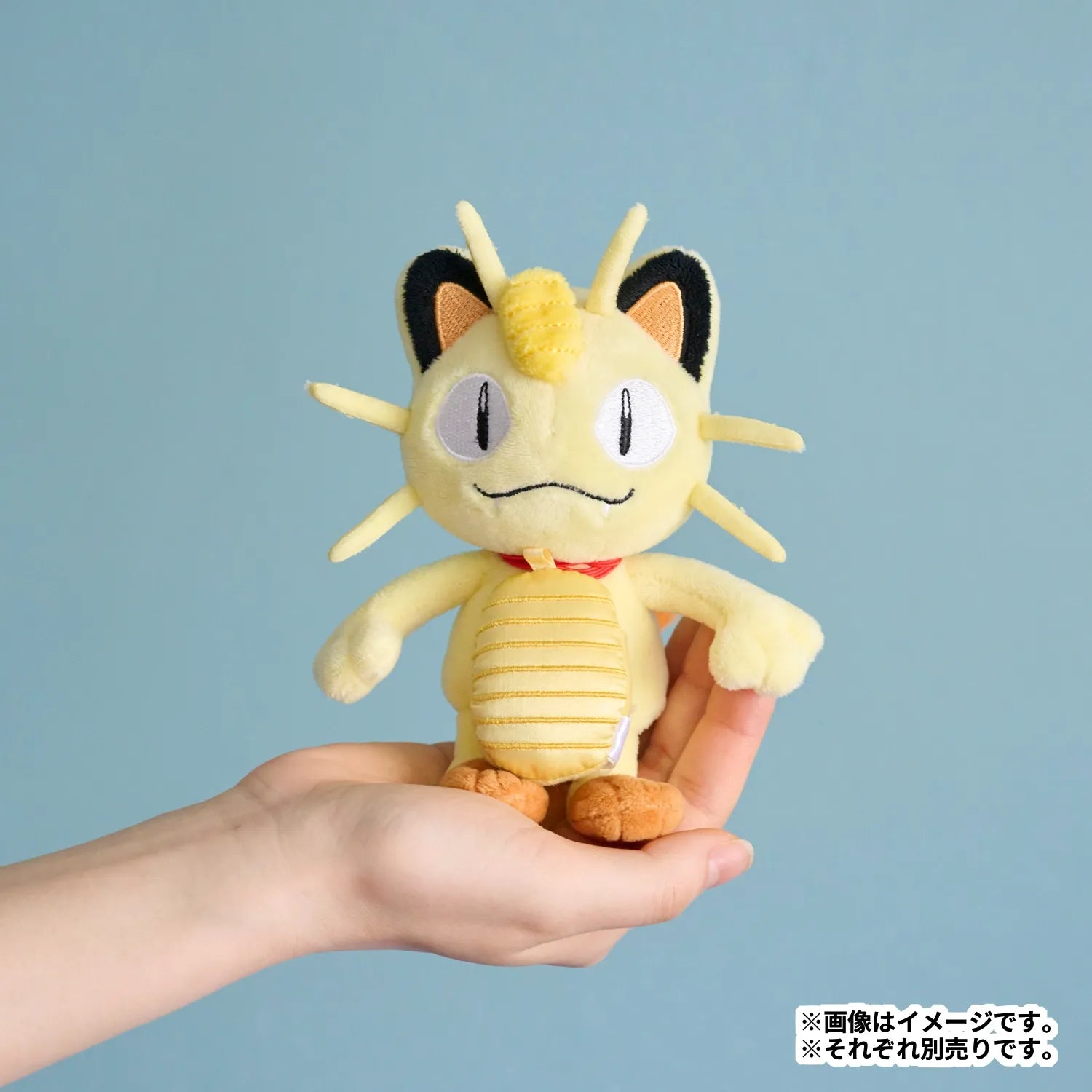 held-item-mini-mini-mascot-amulet-coin08
