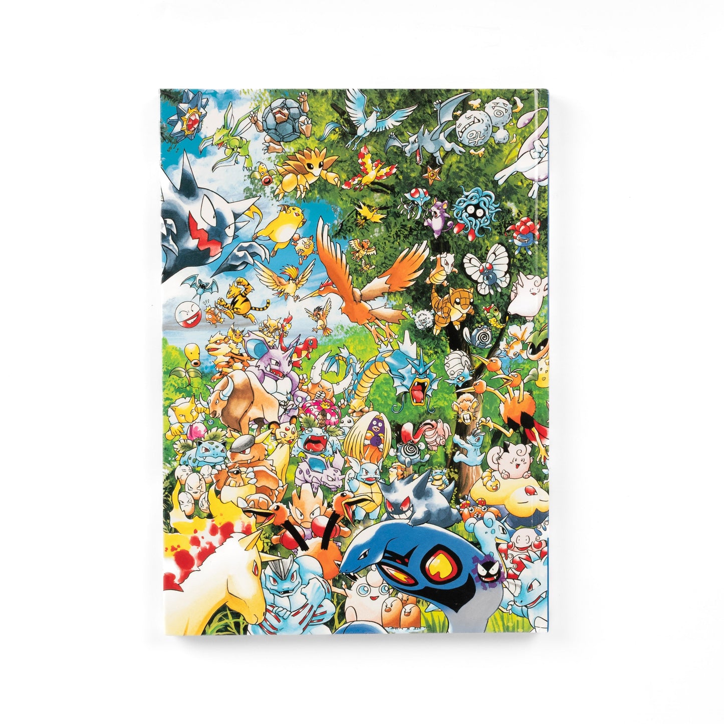 pokemon-illustration-book-lets-find-pokemon-vol2-02